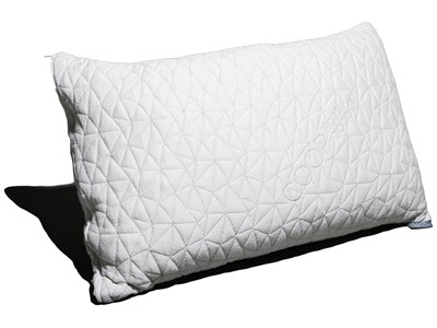 Coop Home Goods Premium Pillow