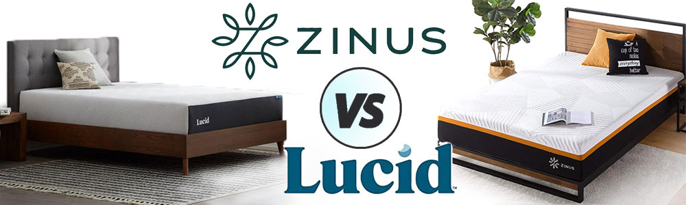 Zinus and Lucid brands