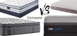 Posturepedic vs Tempurpedic Comparison Review